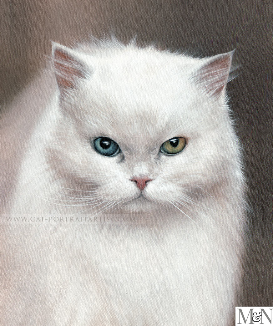 Cat Pet Portraits