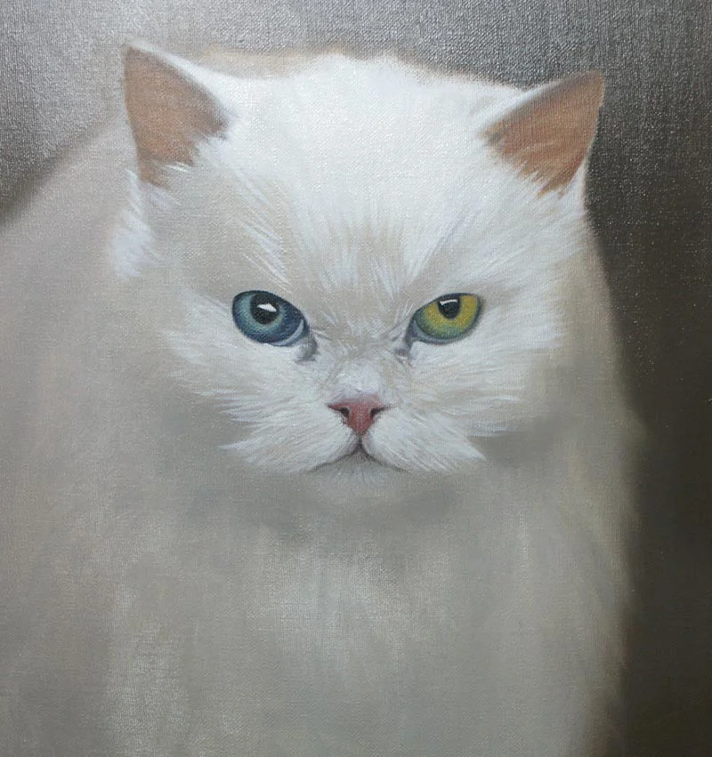 Sophie's cat oil portrait in progress, showing the mid-painting stage with detail work.
