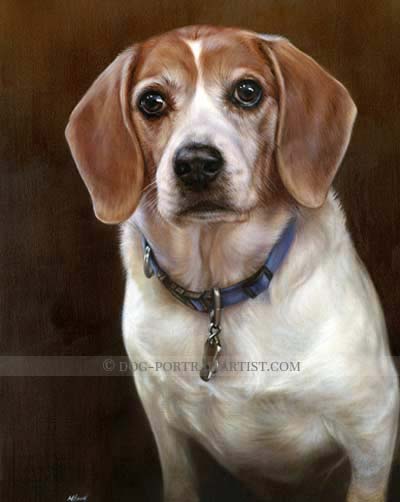 beagle oil pet portraits