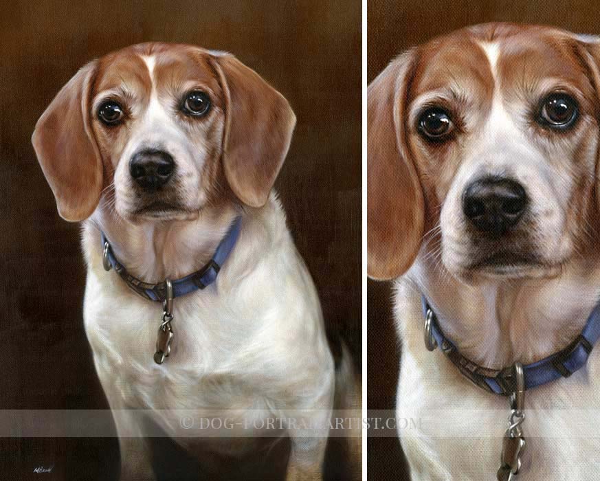 Dog Portraits - Beagle Pet Portraits