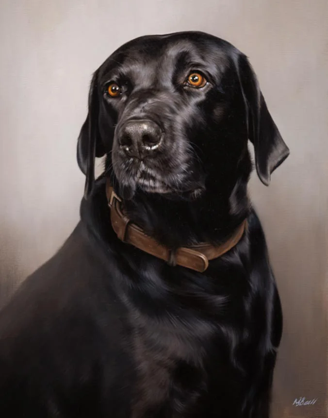 Oil painting of Brhyer, a sleek black Labrador dog, by Nicholas Beall.