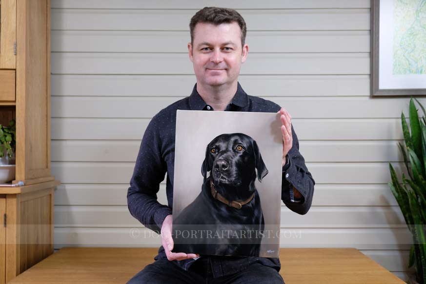 Black Labrador Dog Portraits