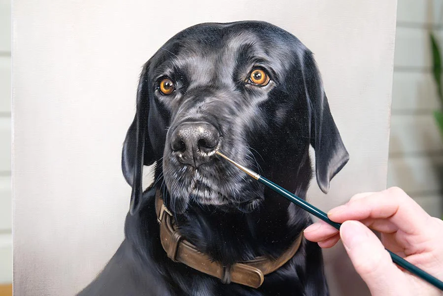 Finished framed oil portrait of Bryher, a black Labrador dog, displayed on a wall.