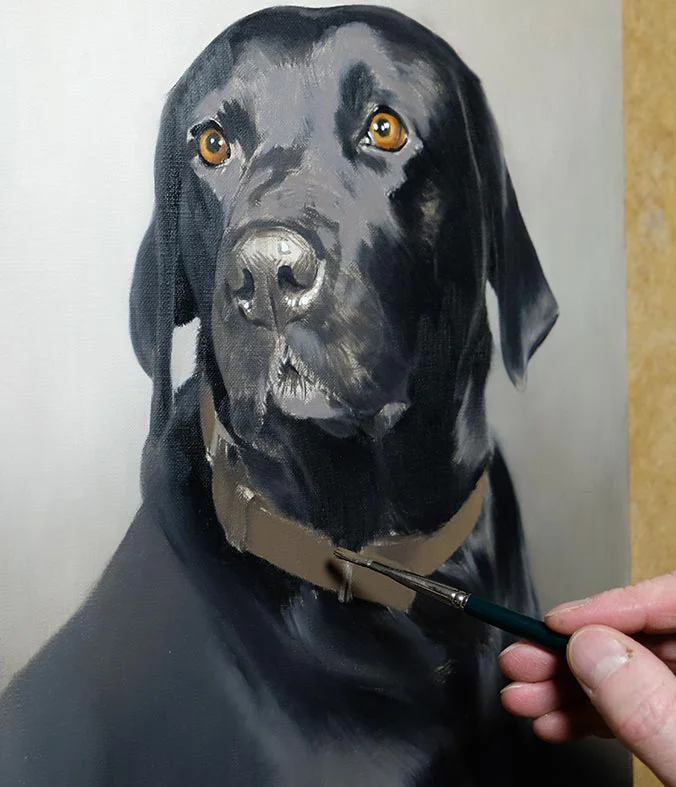 Close-up detail of a black Labrador's glossy fur, expressive eye, and nose in an oil portrait.
