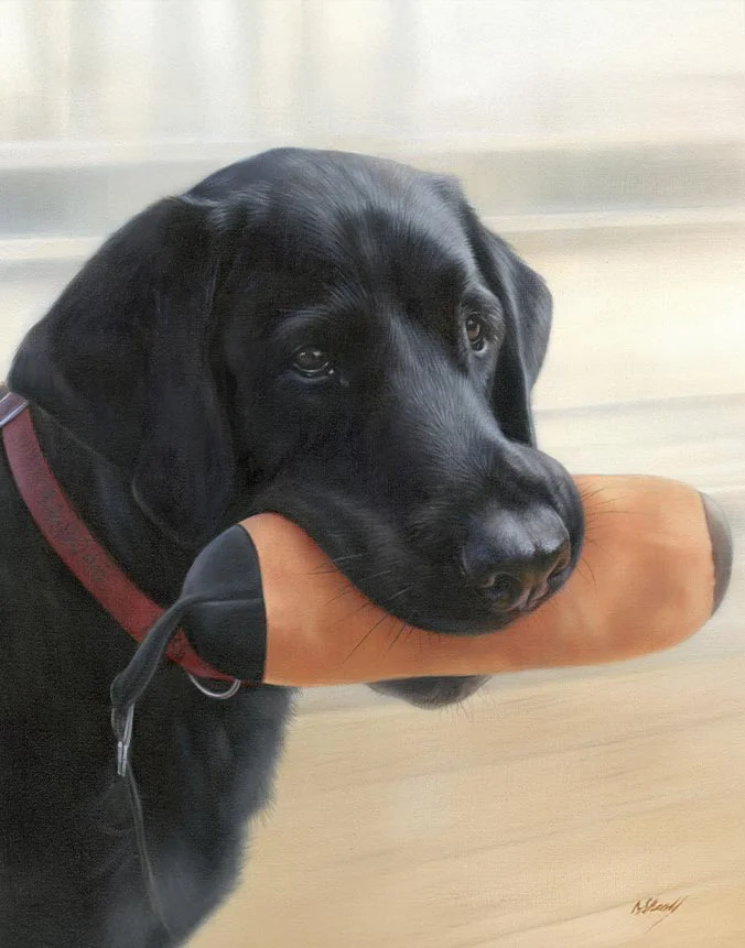 Oil painting of Sammy, a sleek Black Labrador dog, capturing his loyal expression, by Nicholas Beall.