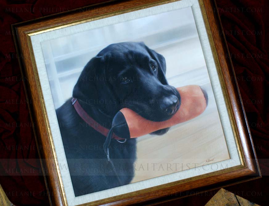 Framed Pet Portraits