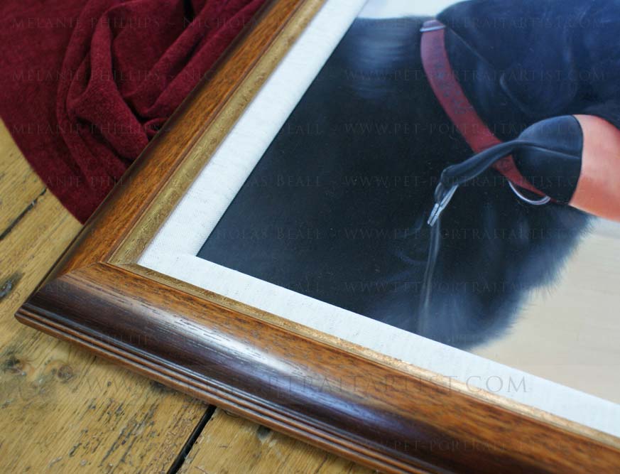 black labrador oil portraits framed
