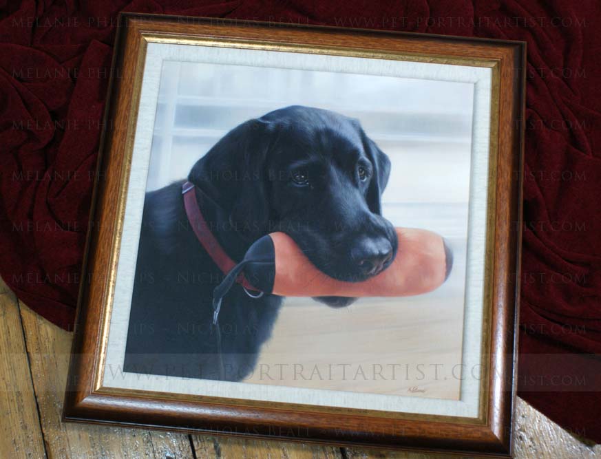 Black Labrador Pet Portraits Framed