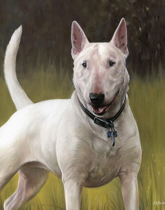 Oil painting of Millie, a strong Bull Terrier dog, with her distinctive head shape, by Nicholas Beall.