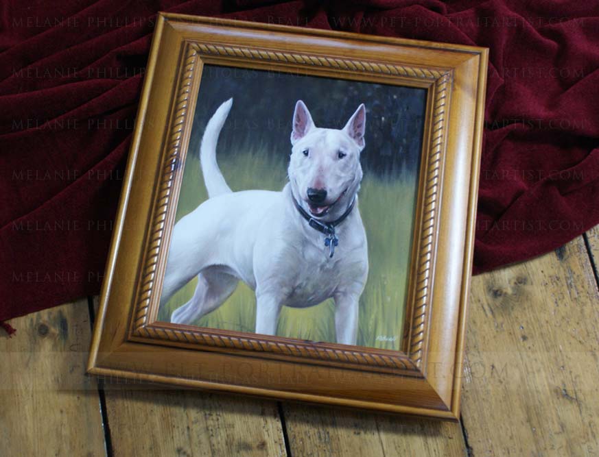 Bull Terrier Pet Portraits Framed
