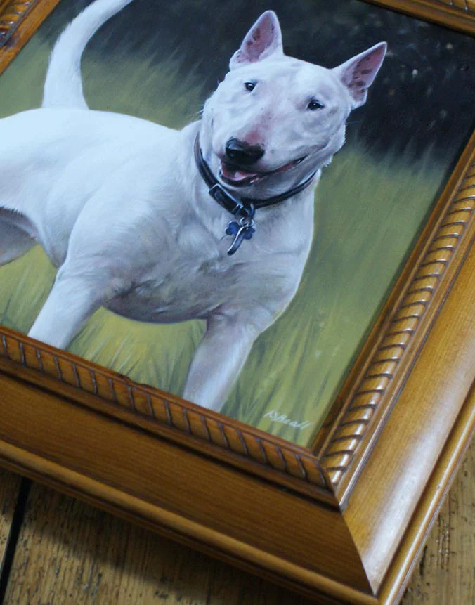 Framed oil portrait of Millie the Bull Terrier displayed prominently in a room.
