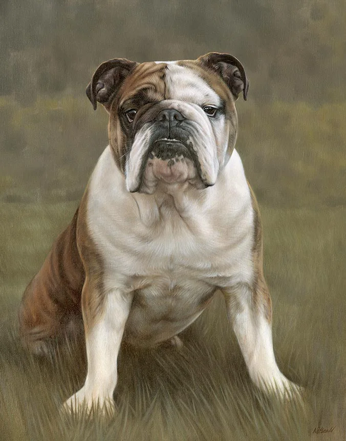 Oil painting of Winston, a dignified Bulldog dog, capturing his unique wrinkles and calm demeanor, by Nicholas Beall.