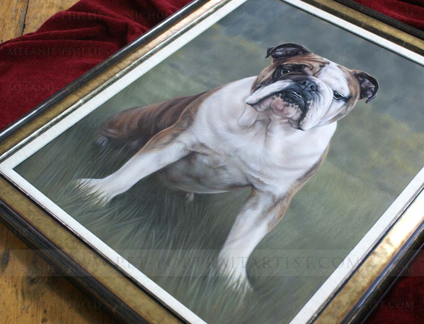 Pet Portraits Framed