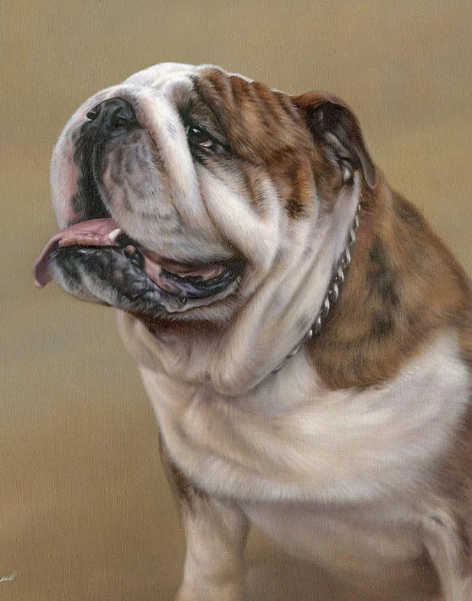 Oil painting of Remi, a charming Bulldog, with his distinctive features, by Nicholas Beall.