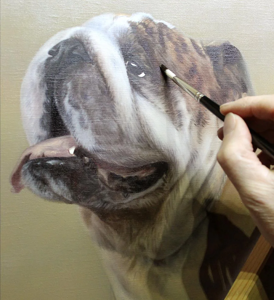 Finished framed oil painting of Remington the Bulldog displayed on a wall.