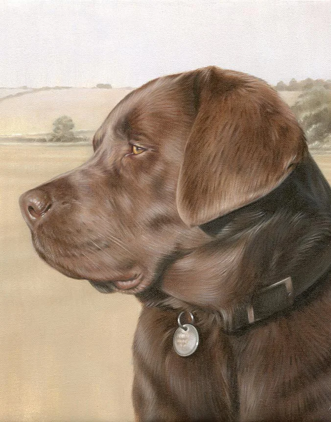 Oil painting of Flag, a handsome Chocolate Labrador dog, with his warm brown coat, by Nicholas Beall.