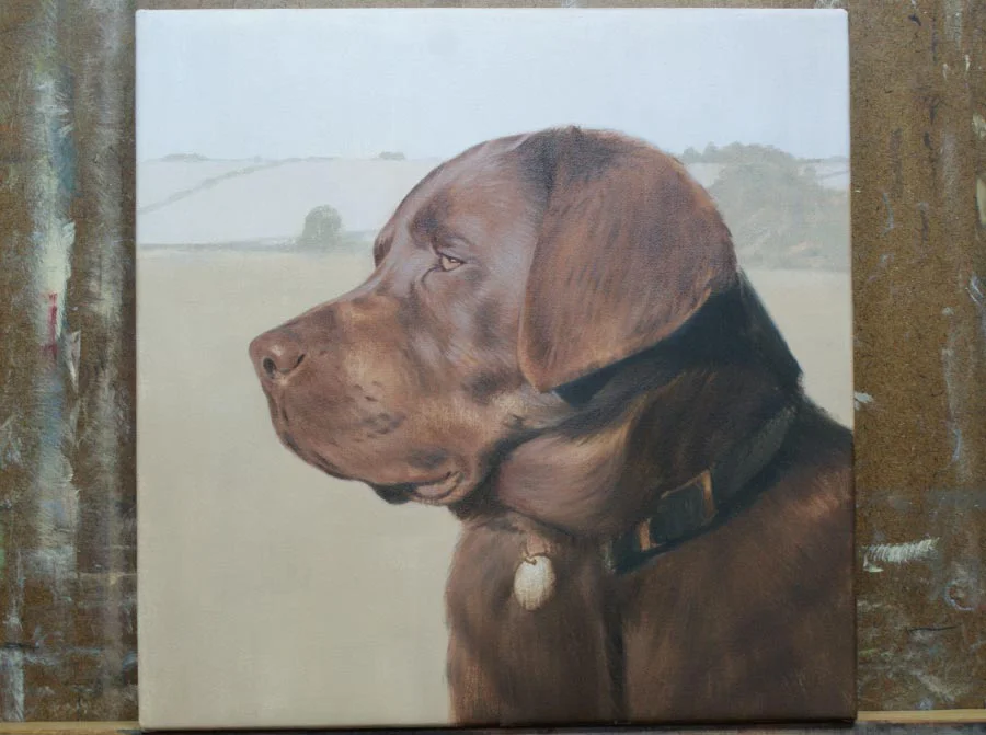Chocolate Labrador portrait in oils, showing the initial stages of painting on canvas.