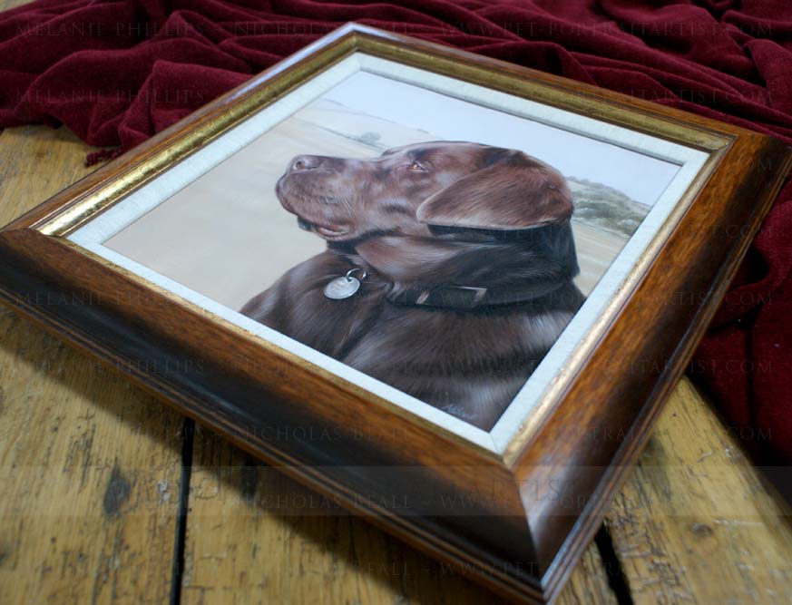 Chocolate Labrador pet portraits Framed