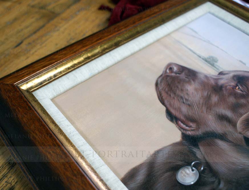 Chocolate Labrador pet portraits Framed