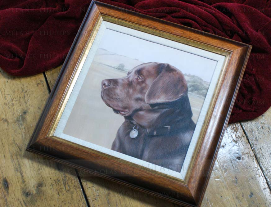 framed pet portraits