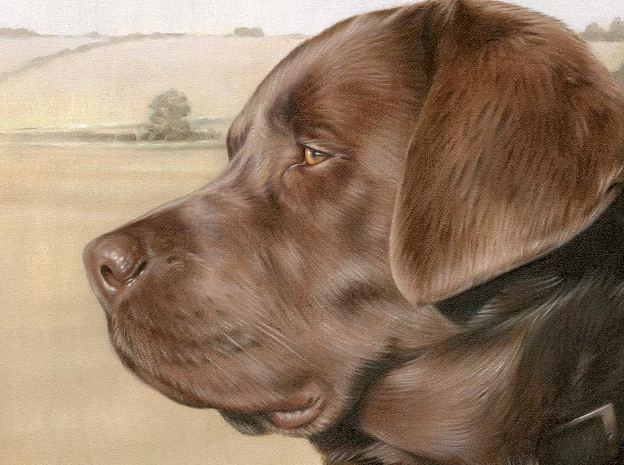 Final oil portrait of Flag, a chocolate Labrador, showcasing the completed artwork.