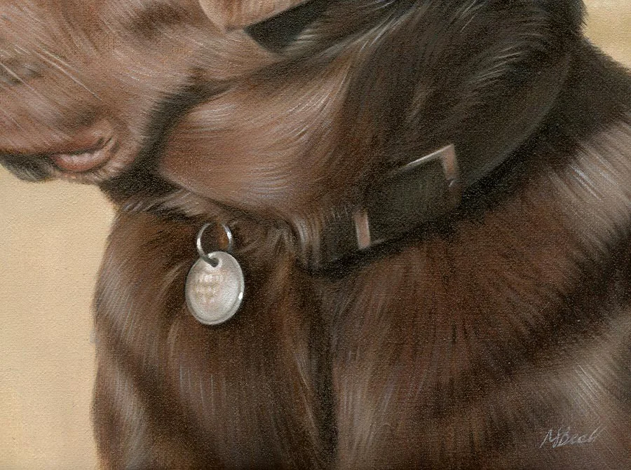 Close-up detail of Flag's chocolate Labrador oil portrait, highlighting fur texture and expression.