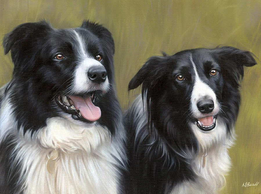 Oil painting of Sam and Scooby, two energetic Collie dogs, captured mid-action, by Nicholas Beall.