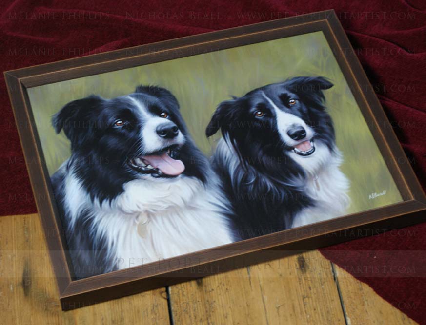 Collie Portraits Framed