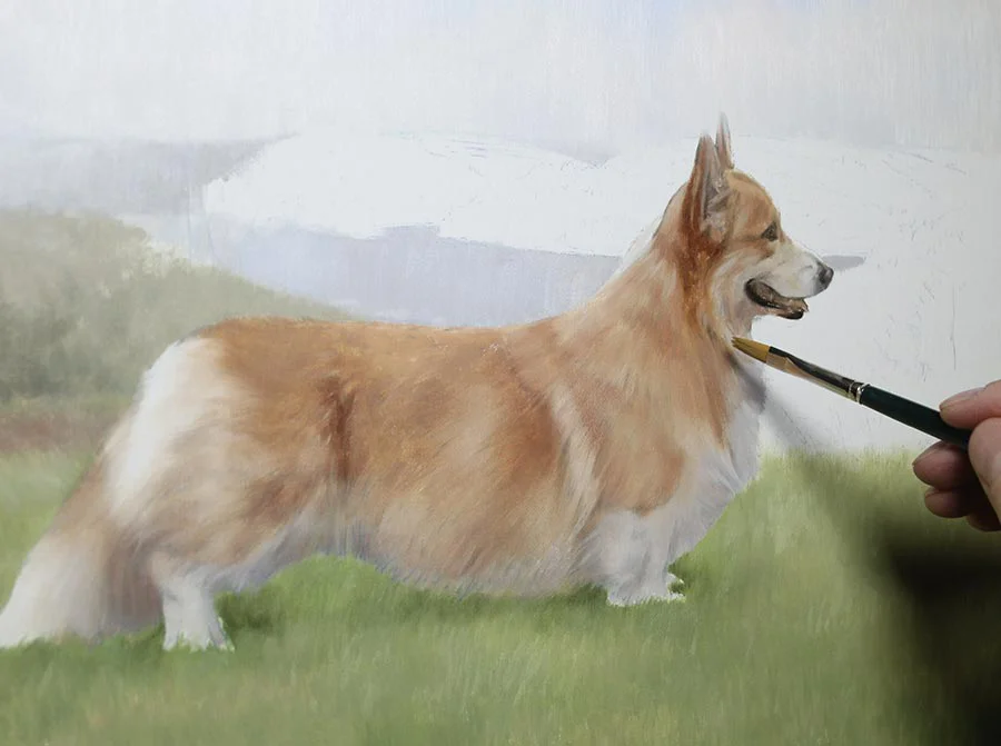 Corgi dog portrait of Luke, showing work in progress with developing details.
