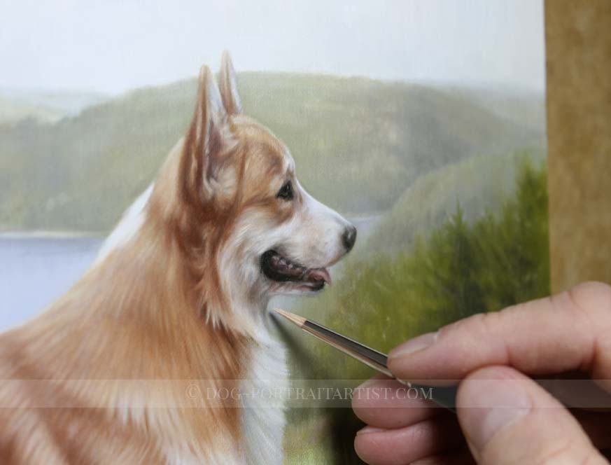 Corgi Pet Portraits