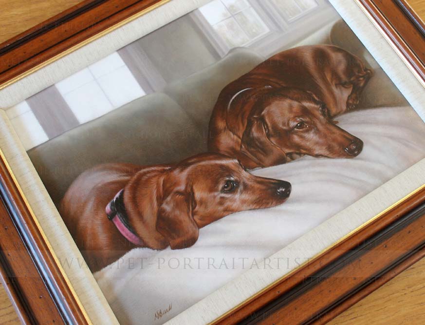 Dachshunds pet portraits Framed