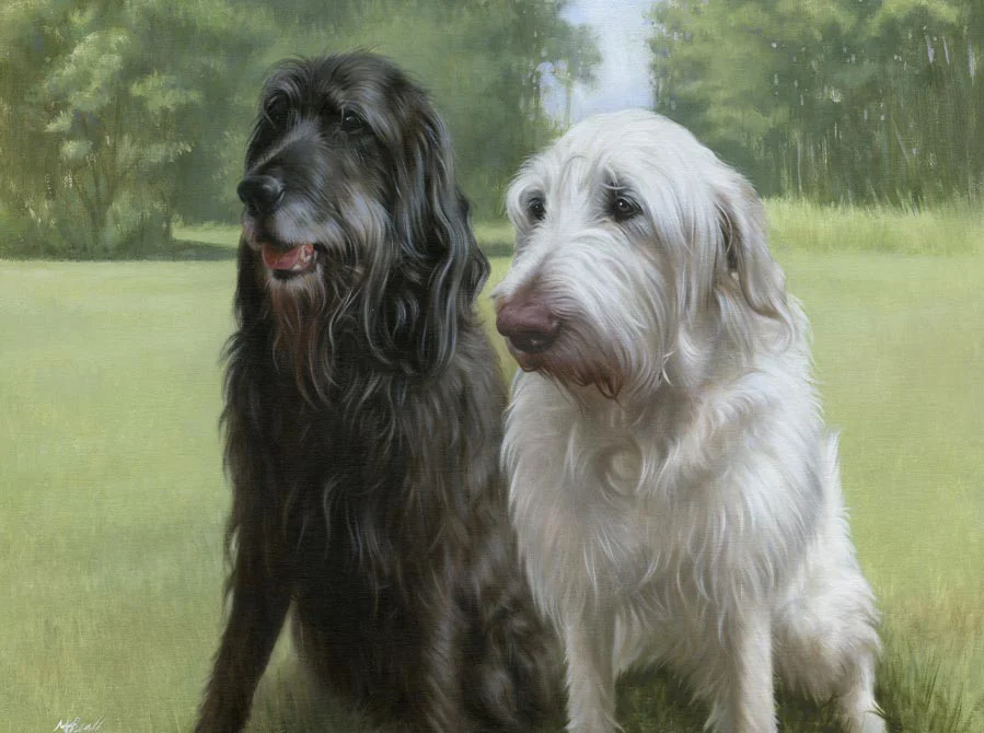 Oil painting of Oscar and Harry, two charming dogs, with their unique expressions, by Nicholas Beall.
