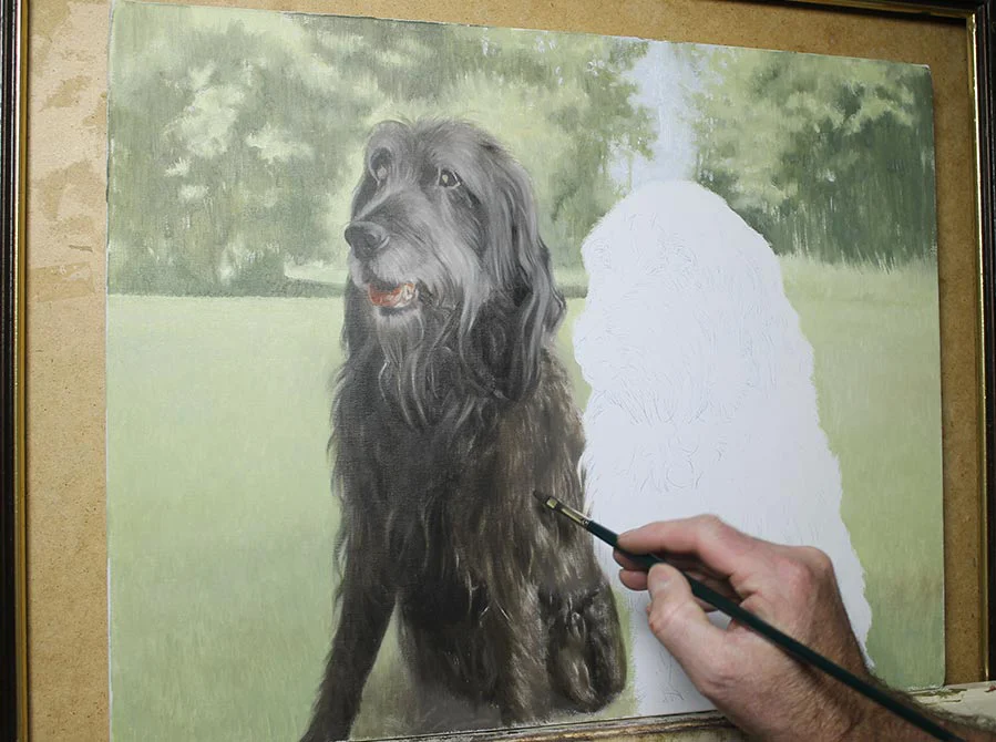 Two Dogs in Oils – Middle Stage of painting The two dogs oil portrait in its middle stage, with more refinement in forms and colors.