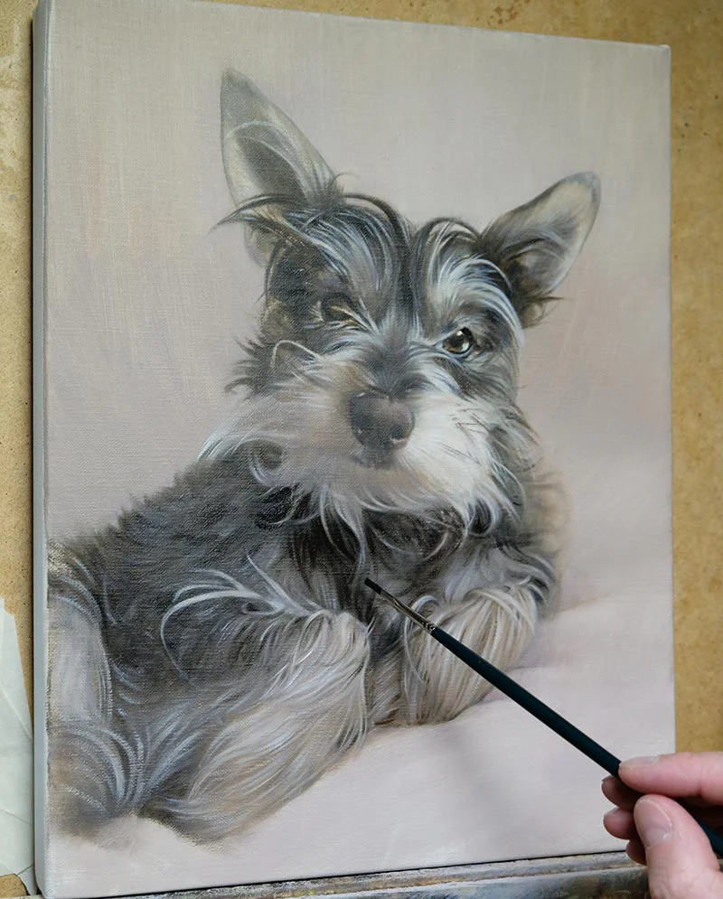 Dog Oil Painting – Early Layers of the portrait Early layers of the dog oil painting, showing the initial blocking of colors and shapes for Chucho's portrait.