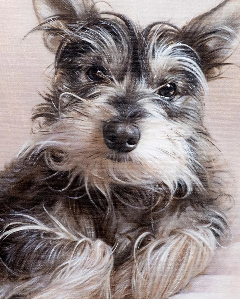 Dog Oil Painting – Fur and Expression Detail Detailed close-up of the dog oil painting, highlighting the texture of Chucho's fur and his gentle expression.