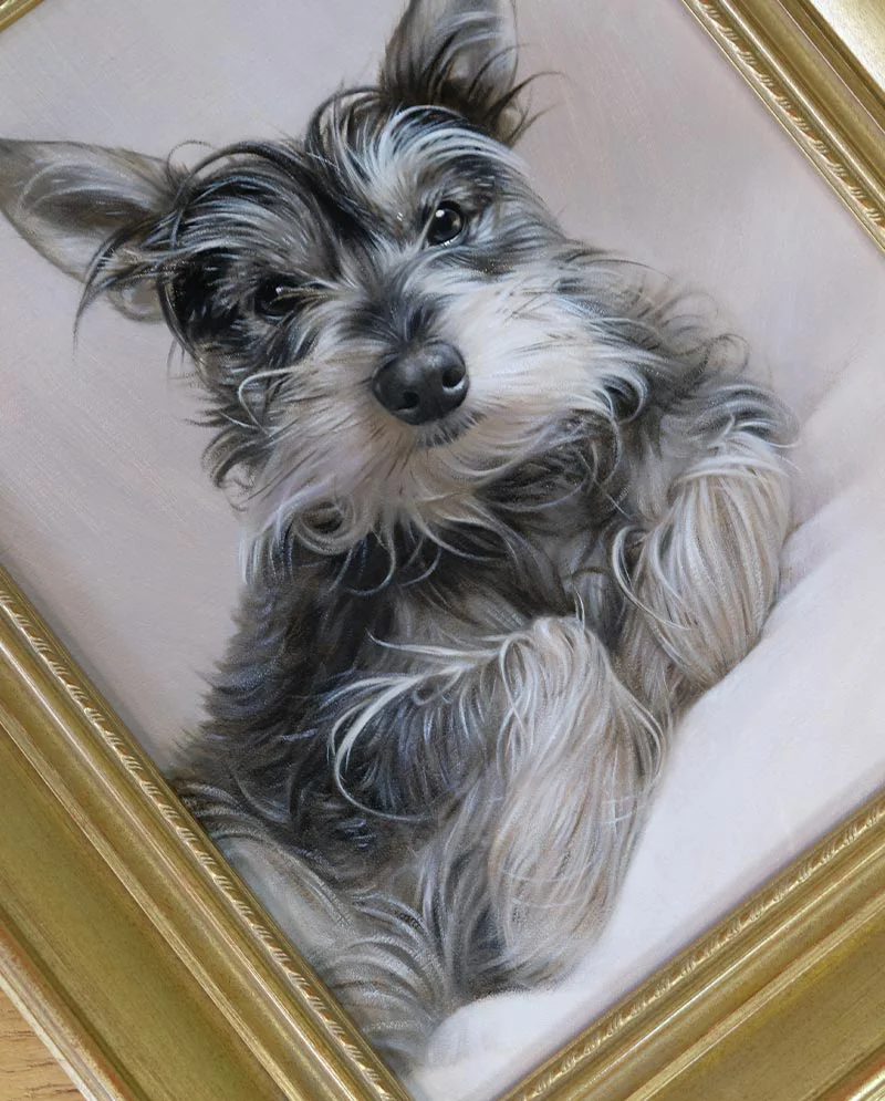 Framed Dog Portrait in Oils: Chucho's completed painting The finished framed oil portrait of Chucho, elegantly displayed on a wall.