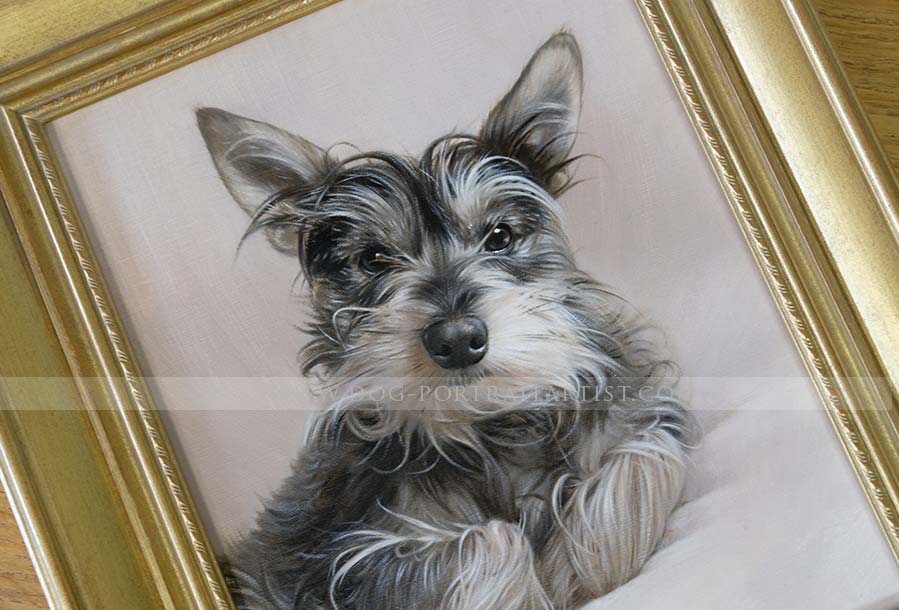 Dog Pet Portraits Framed