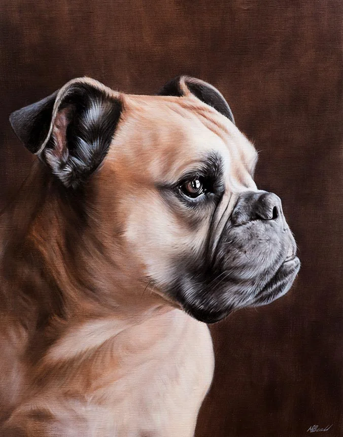 Oil painting of Newman, a charming dog, captured in fine detail by Nicholas Beall.