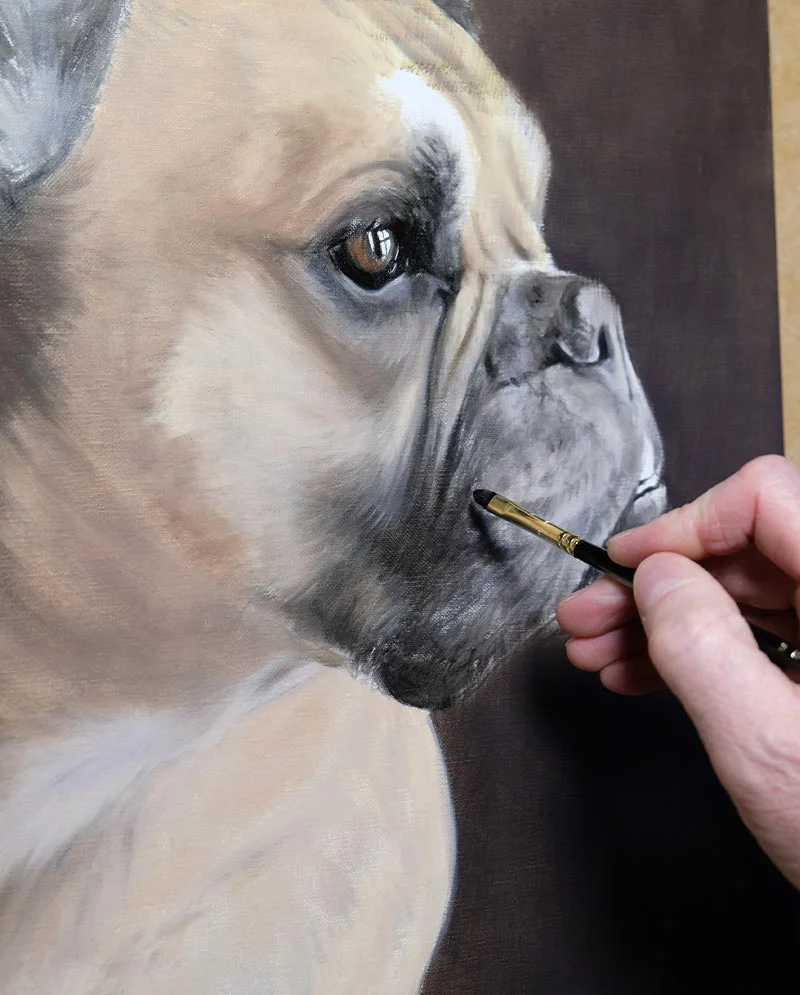 Dog Portrait Painting – Early Layers (Newman) Dog portrait painting of Newman, showing the early layers of oil applied to the canvas.