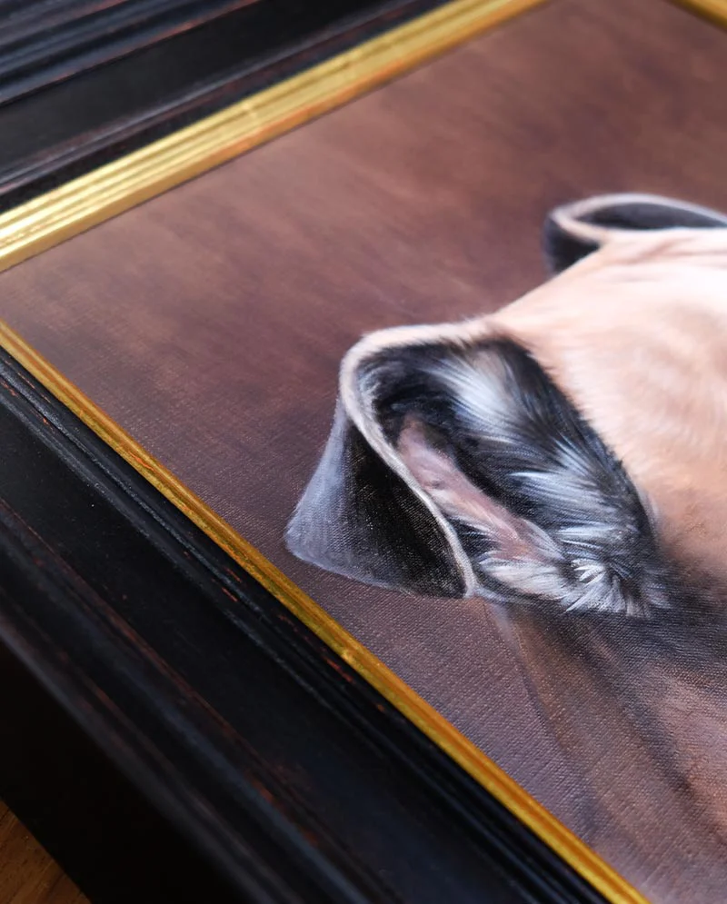 Dog Portrait Framed and Ready to Hang (Newman) The completed dog portrait, beautifully framed and ready to hang, showing fine detail.