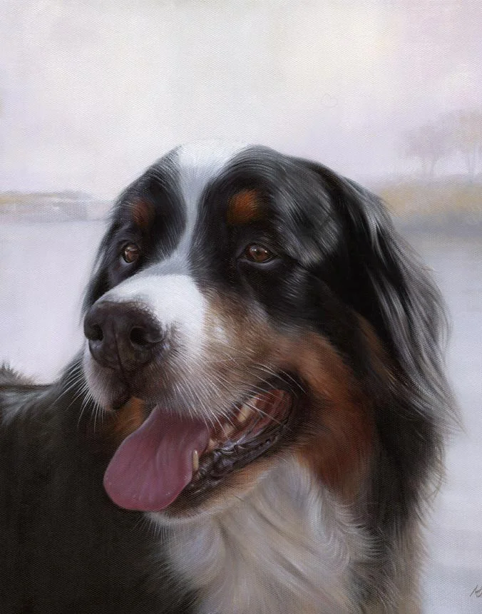 Oil painting of Yogi, a fluffy Bernese Mountain Dog, with a friendly expression, by Nicholas Beall.
