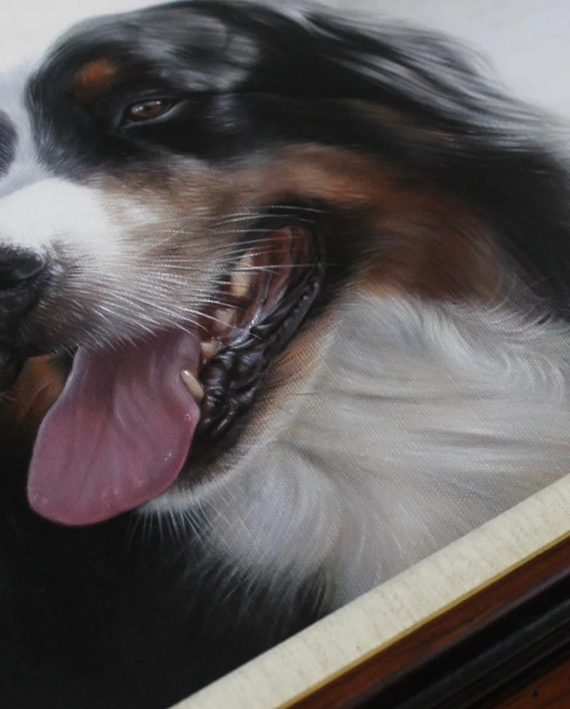 Bernese Dog Oil Painting Framed and Displayed Bernese Dog oil painting, elegantly framed and displayed on a surface.