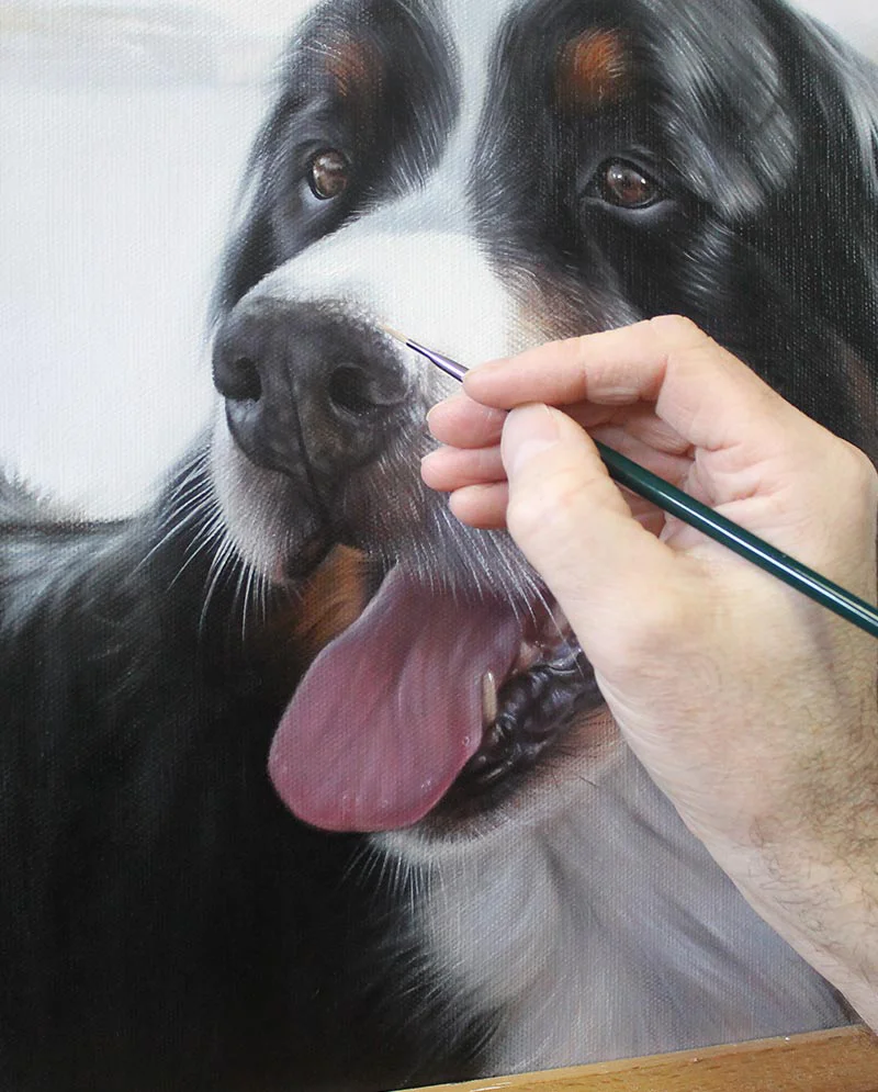Oil Painting Detail – Bernese Dog's Expression Oil painting detail focusing on the Bernese Dog's expressive eyes and intricate brushwork.