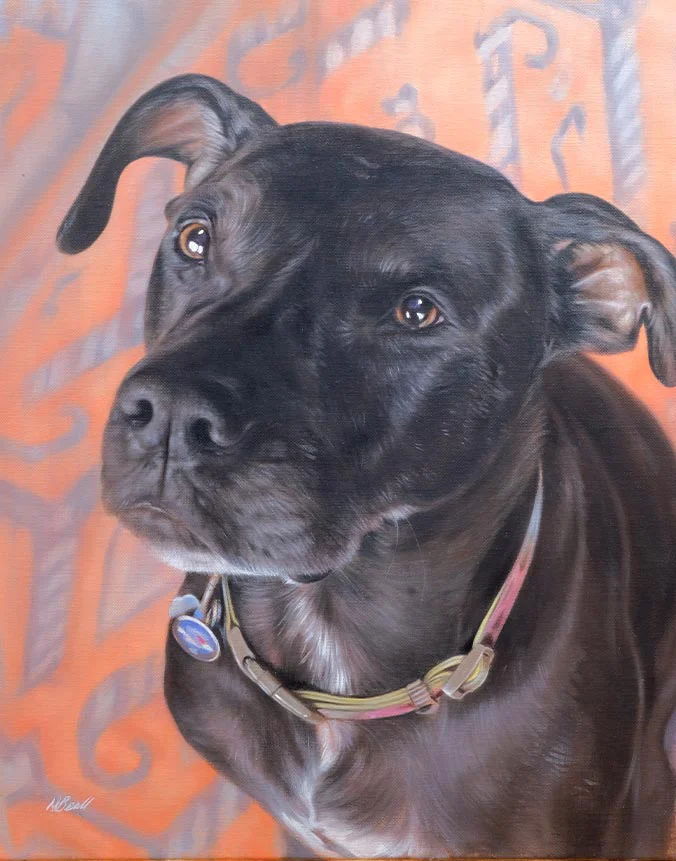 Oil portrait of Wallace, a heartwarming rescue dog, by Nicholas Beall.