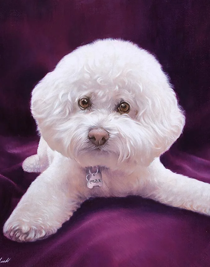 Captivating oil portrait of Max, a Bichon Frise with soft, fluffy white fur.