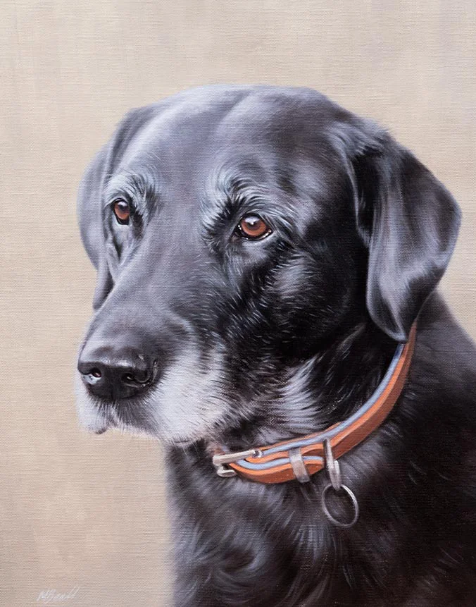Stunning oil portrait of Dotty, a sleek black Labrador with a dignified posture.