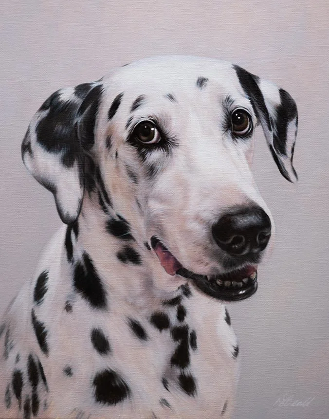 Vivid oil portrait of Saffy, a Dalmatian with distinctive black spots on a white coat.
