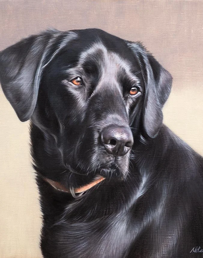 Elegant oil portrait of Mia, a black Labrador, with a gentle and intelligent expression.