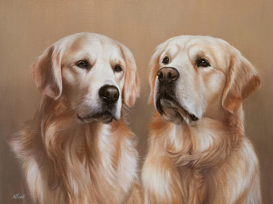 Oil portrait of Monty and Mungo, two majestic Golden Retrievers, by Nicholas Beall.