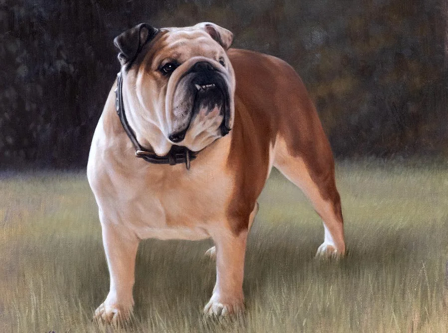 A charming oil portrait of Rocco, an English Bulldog, capturing his unique wrinkles and expression.